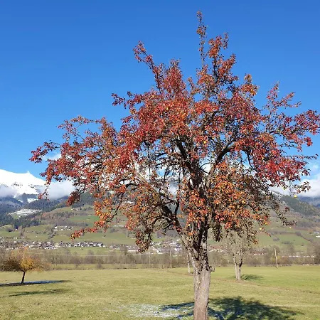 Appartement Golf & Trausmuth Monika Inkl Sommercard - Golfplatz 500 M Entfernt, Inkl Waschmaschine, Trockner *