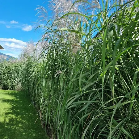 アパート Golf & Trausmuth Monika Inkl Sommercard - Golfplatz 500 M Entfernt, Inkl Waschmaschine, Trockner *