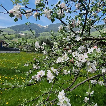 Golf & Trausmuth Monika Inkl Sommercard - Golfplatz 500 M Entfernt, Inkl Waschmaschine, Trockner * 米特西尔