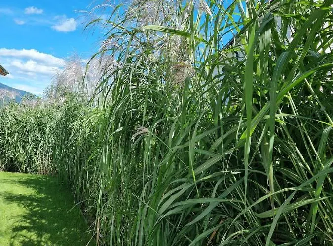 Apartment Golf&ski Trausmuth Monika Inkl Sommercard - Golfplatz 500 M Entfernt, Inkl Waschmaschine, Trockner *